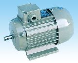 3-phase Induction Motors