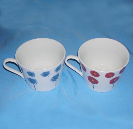 Ceramic Cup