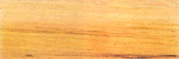 chinese antique camphor wood