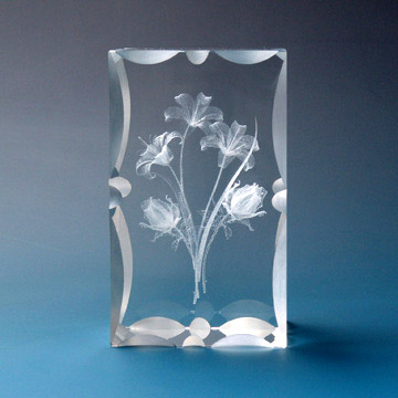 Crystal Lily, Roses