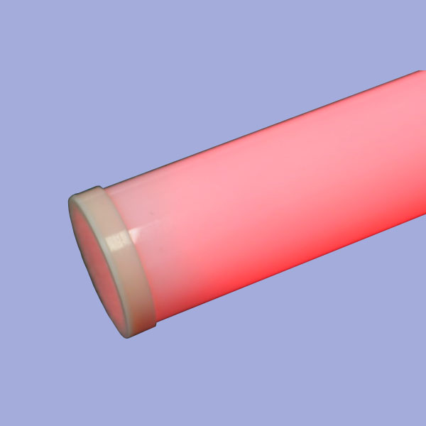 LED frosted tube lamp