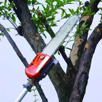 Long-reach Chain Saws