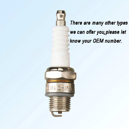 Spark plug