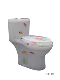 Transparent Resin Toilet