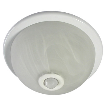 Ceiling Light with PIR Sensor