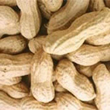 Dried Ground Peanuts