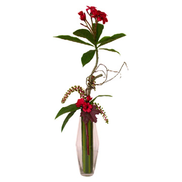 Plumeria Branch - Phytolacca In Glass