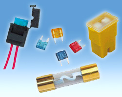 fuse & fuse holder