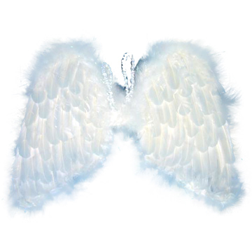 Angel Wings