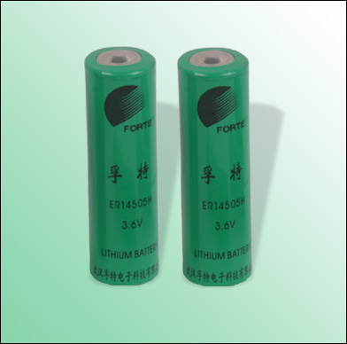 AA ER14505 ERAA LITHIUM BATTERIES 3.6V 2.4Ah