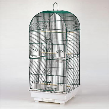 Bird Cages