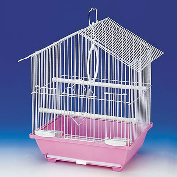 Bird Cages