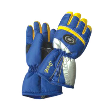 Ski Gloves