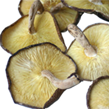 Dried Whole Mushrooms