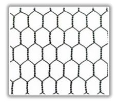 Hexagonal Wire Mesh