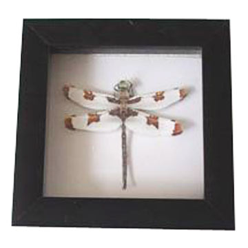 Decorative Frame With Dragonflies