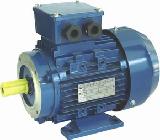 Electric Motors