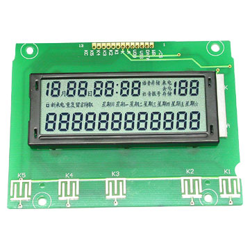 Segment LCD Modules
