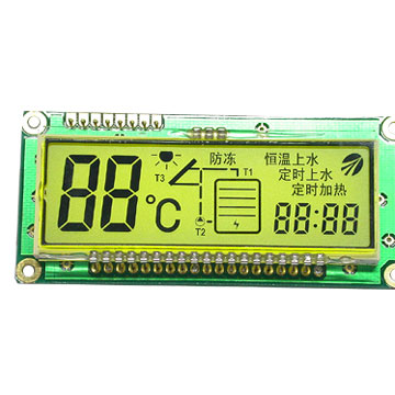 Segment LCD Modules