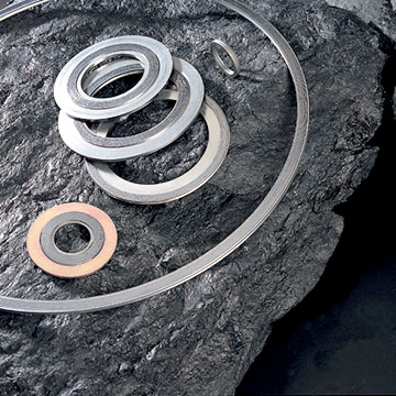 Spiral Wound Gasket