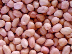 Peanut kernels