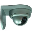 Color omnidirectional Vandal proof P/T camera