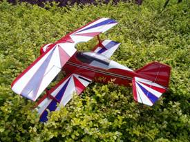 Arf Rc Model Plane (2c)