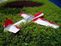 Arf Rc Model Plane (su)