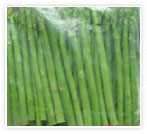 IQF asparagus green