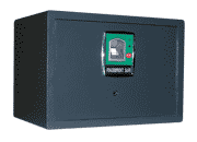 Fingerprint Safe