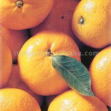 Fresh Mandarin Oranges  ( Lugan)