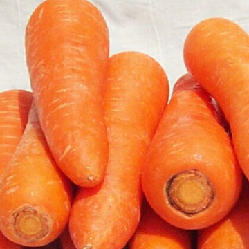 Carrots