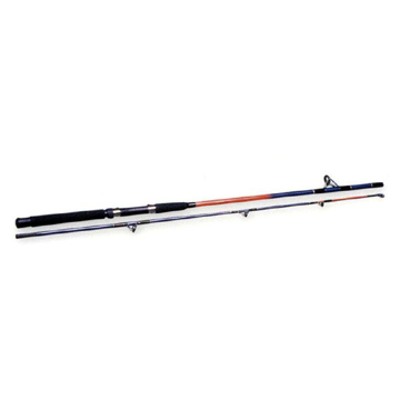 Two-Piece Spinning Rods
