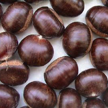 Taishan Fresh Chestnuts
