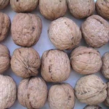 Taishan Walnuts