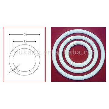 Common Lighting & Tri-phosphor Fluorescent Circular Lamps