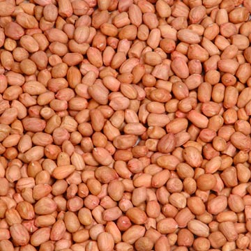 Raw Peanuts (Round Type)