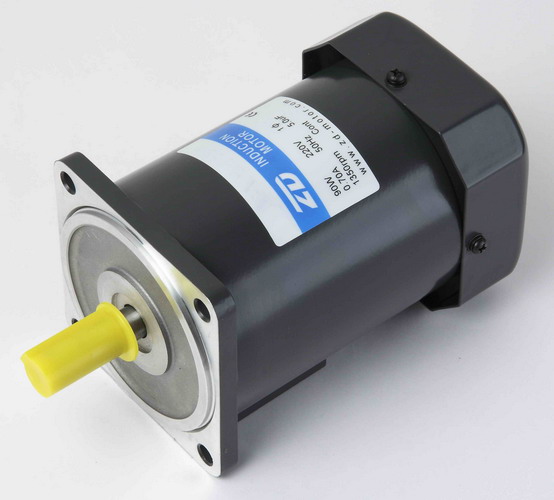 Ac Reversible Motor