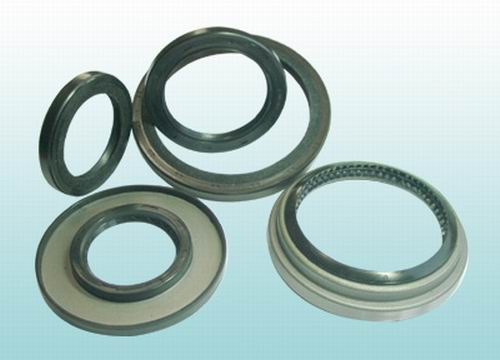 Oil Seals