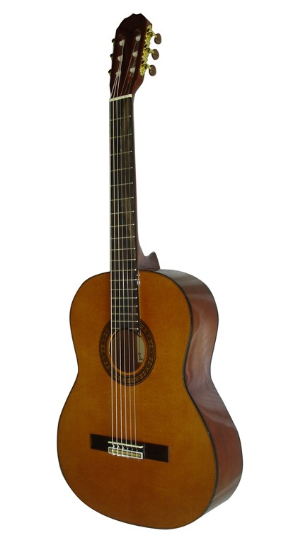 Acoustic Guitar