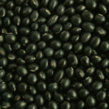 Black Beans