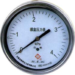 YE Capsule Pressure Gauges