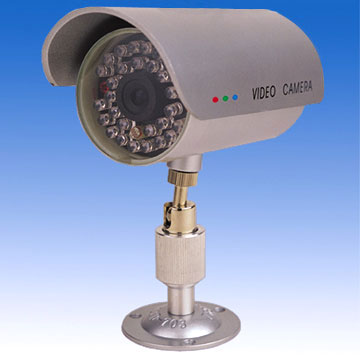 CCD Cameras