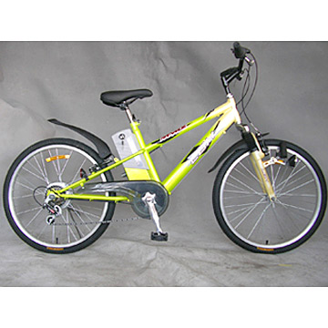 Electric Bicycles