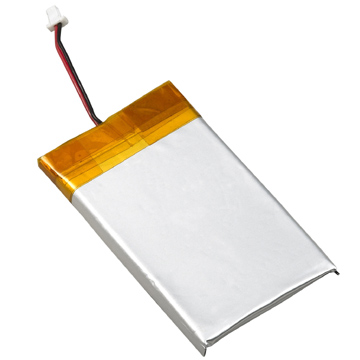 Polymer Battery