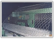 hexagonal wire mesh