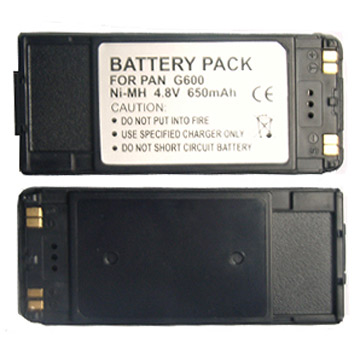Panasonic G600 Battery
