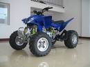 ATV 300cc