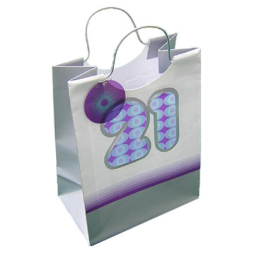 Printed 5 Color Bag with PVC Window