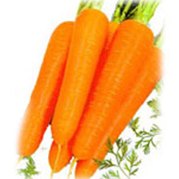 Beta Carotenes